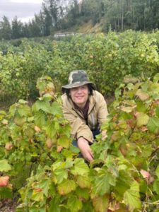 Berry Picking